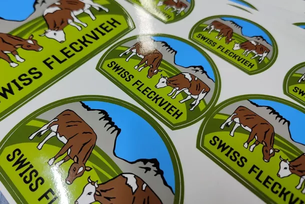  gedruckte Aufkleber Stickerbogen SICHTBAR Beschriftung Belp